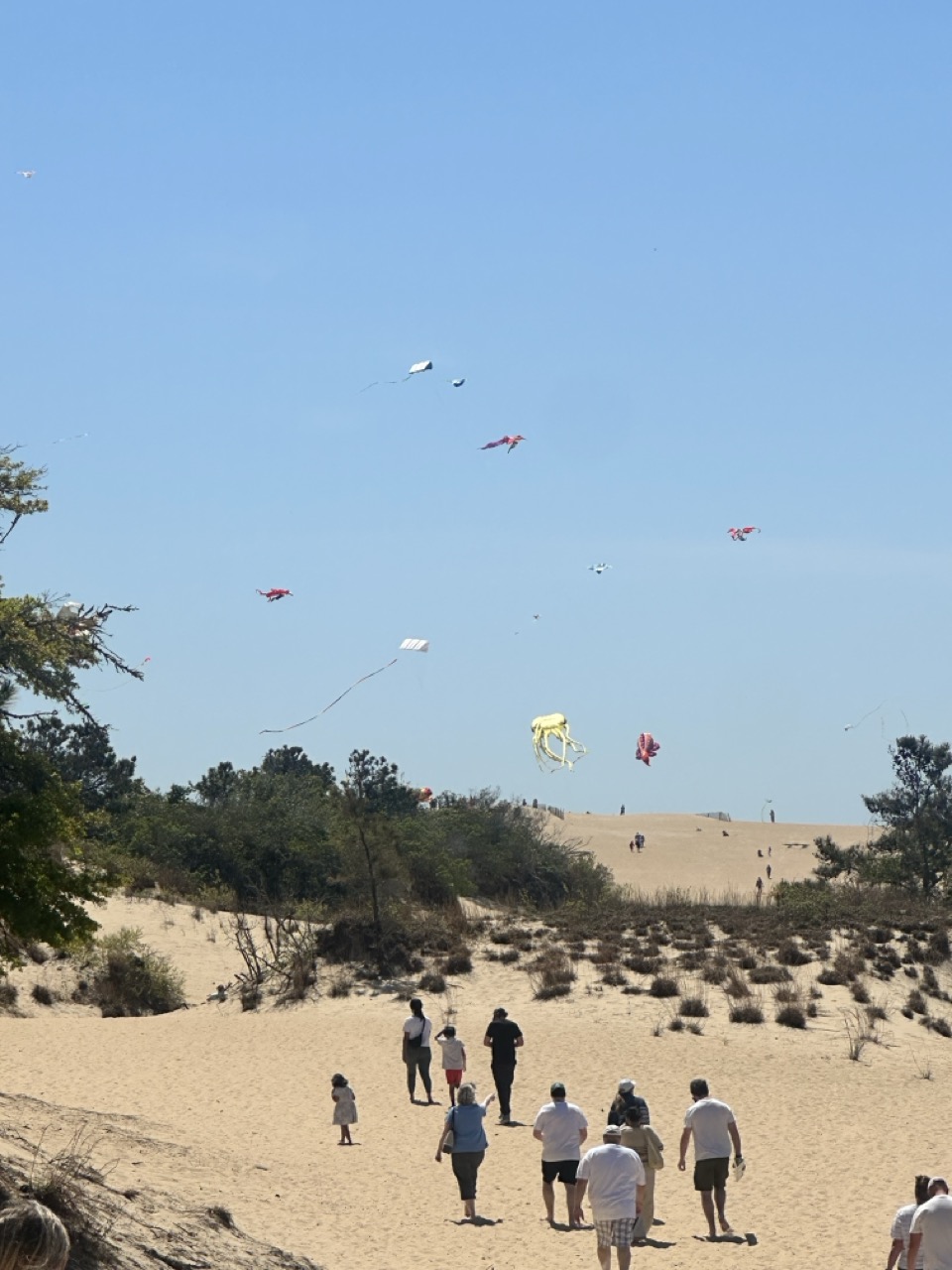 Kite flying atop the dunes at Jockey's Ridge State Park, Nags Head