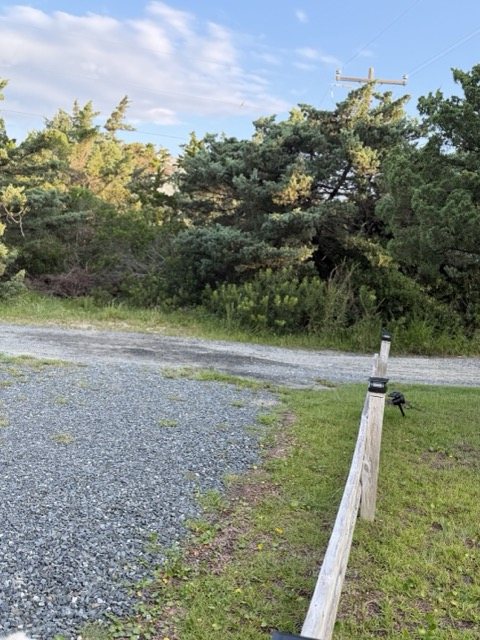The clearing across Barracuda Ct from the driveway where the trash can goes on pickup nights