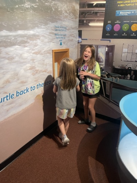 Kids at the sea turtle rehabilitation exhibit, NC Aquarium on Roanoke Island